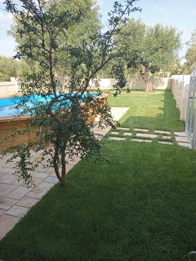 U Ceccenate Bed and Breakfast Montalbano  Buitenkant foto